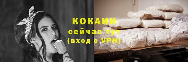 дмт Новодвинск