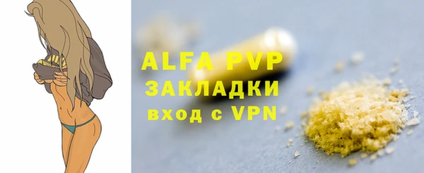 шишки Няндома