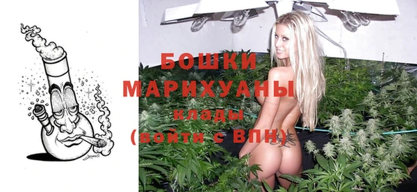 дмт Новодвинск