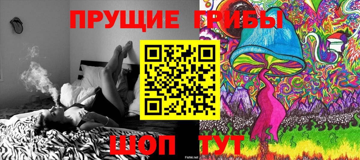 Сибай  Псилоцибиновые грибы ЛСД  Вход с VPN 