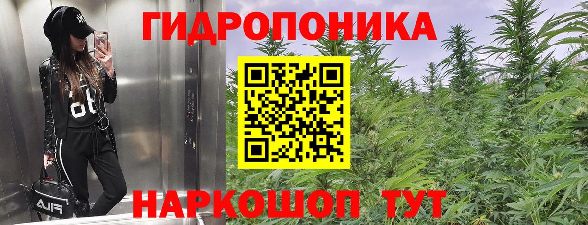 Бошки марихуана Amnesia  МАРИХУАНА VHQ  Вход с VPN  Сибай  Канабис Ganja 